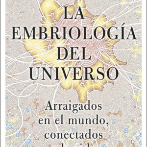 La embriología del universo