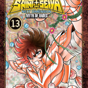 SAINT SEIYA. NEXT DIMENSION MYTH OF HADES 13 (COMIC)