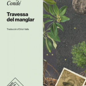 TRAVESSA DEL MANGLAR