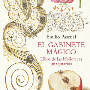 Gabinete magico:libro de las bibliotecas imaginarias