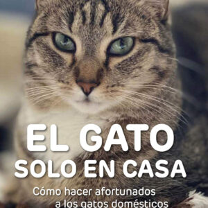 EL GATO SOLO EN CASA