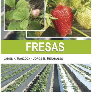 Fresas
