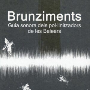 Brunziments