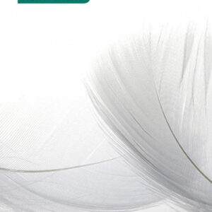 AL FINAL DEL SILENCIO