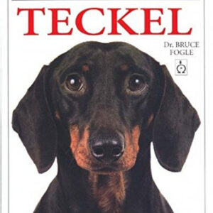 TECKEL. GUIAS RAZAS DE PERROS