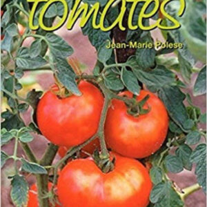 CULTIVO DE TOMATES