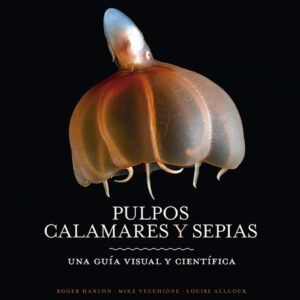 PULPOS, CALAMARES Y SEPIAS