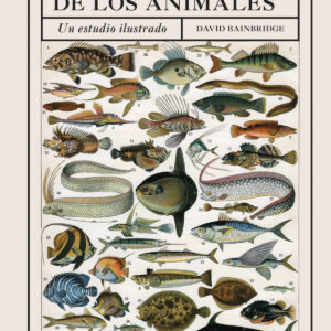CLASIFICACION DE LOS ANIMALES, LA