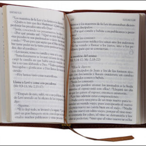 Los santos Evangelios