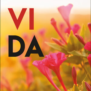 Vida