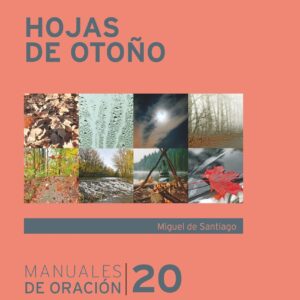 Hojas de otoño