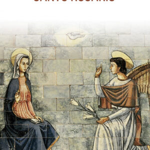 Santo Rosario (bolsillo, rústica, color)