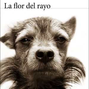 La flor del rayo
