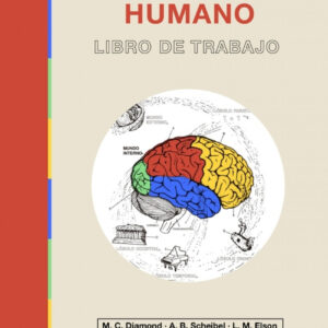 El cerebro humano