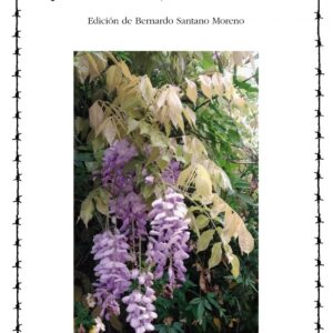 ¡Absalón, Absalón!