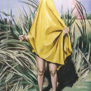 No es un río (Mapa de las lenguas)