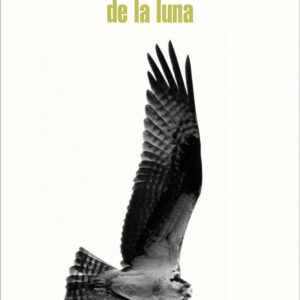 El hombre que se enamoro de la luna