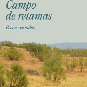 Campo de retamas