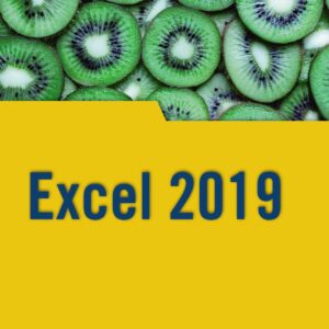 EXCEL 2019