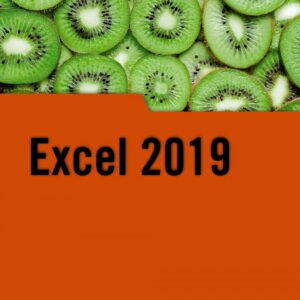 EXCEL 2019