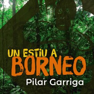 Un estiu a Borneo