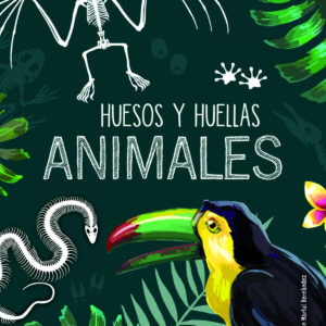 Animales