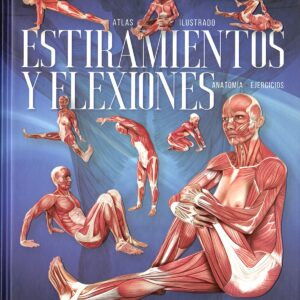 Estiramientos y flexiones