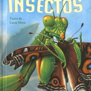Descubre los insectos