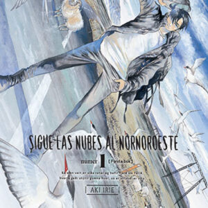 SIGUE LAS NUBES AL NORNOROESTE 1