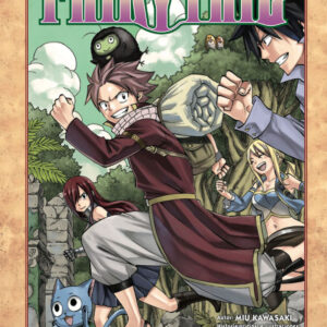 Fairy Tail. Después del gran torneo de la magia