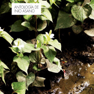 ANTOLOGIA DE INIO ASANO