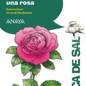 Historia de una rosa