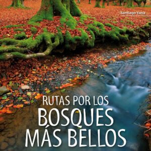 Rutas por los bosques mas bellos