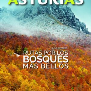 ASTURIAS