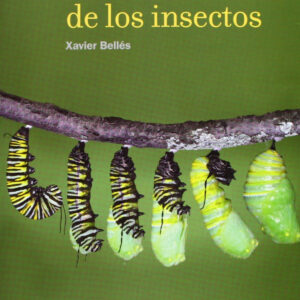 La metamorfosis de los insectos