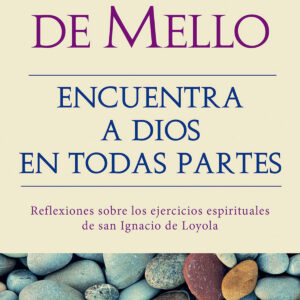 Encuentra a Dios en todas partes