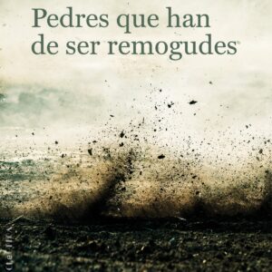 PEDRES QUE HAN DE SER REMOGUDES