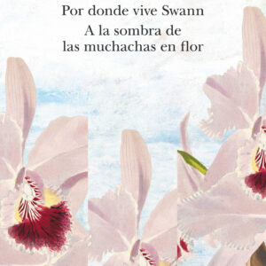 En busca del tiempo perdido, vol. 1