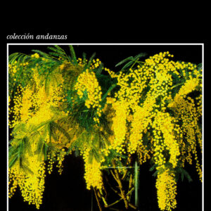 Para que vuelvas hoy