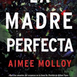 LA MADRE PERFECTA