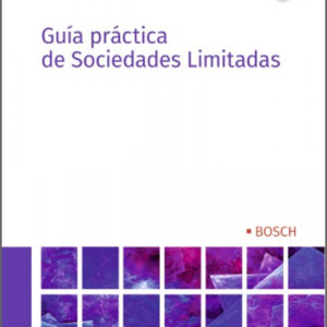 Guía práctica de Sociedades Limitadas