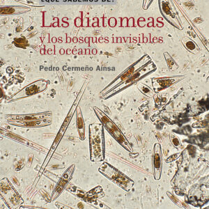 Las diatomeas y los bosques invisibles del océano