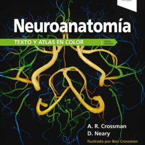 NEUROANATOMÍA
