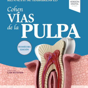 Cohen. Vías de la Pulpa