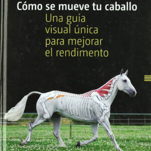 Cómo se mueve tu caballo