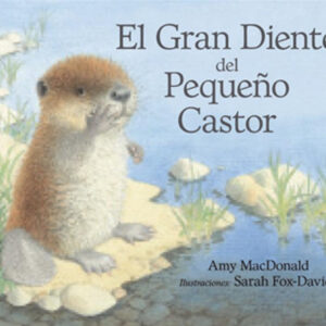 El gran diente del pequeño castor