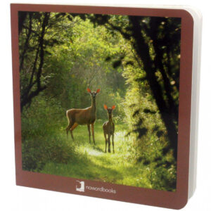 Los Animales del Bosque