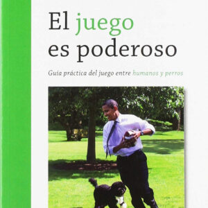 EL JUEGO ES PODEROSO