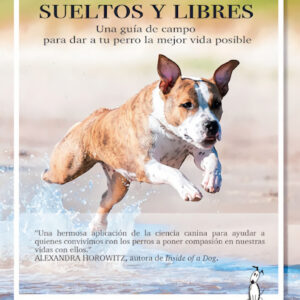 Perros sueltos y libres