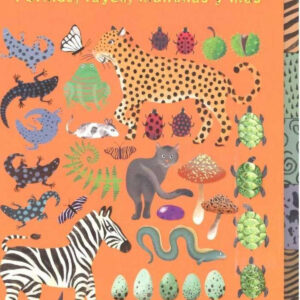 Busca y encuentra formas, rayas, manchas y más